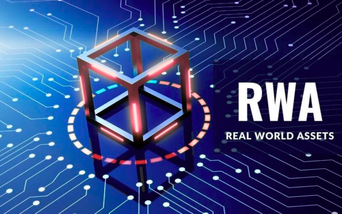 Real-World Asset Financial Intelligence case study